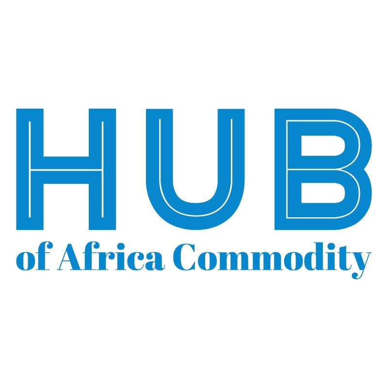 Hub Of Africa Commodity (Pty) Ltd logo