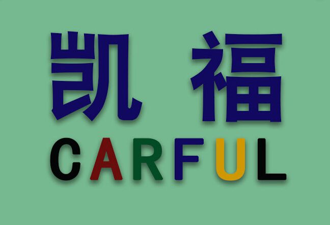 Carful Company Limitd logo
