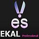 Ekal Professional logo