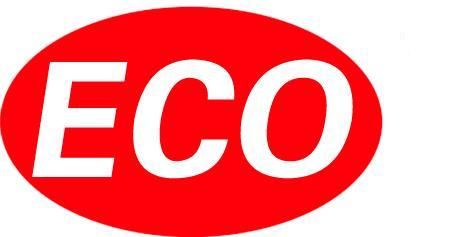 ECO INTERNATIONAL logo