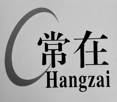 Liangshan Changzai Machinery Manufacturing Co.,Ltd logo