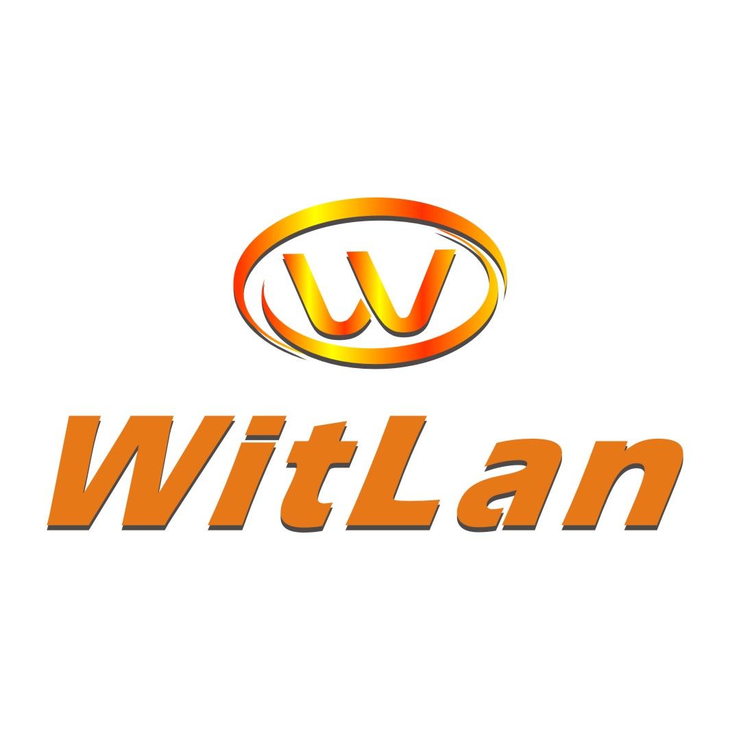 Shanghai Witlan Industry Co.,Ltd logo