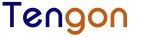 Tengon Group logo