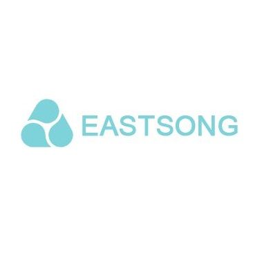 Qingdao Eastsong Technology Co., Ltd logo