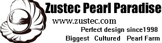 Zustec Pearl Paradise logo