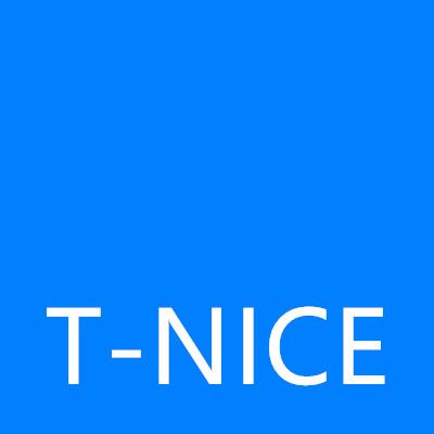 T-NICE INTERNATIONAL PACKING LIMITED logo