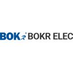 Bokong Electric Co., Ltd logo