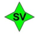 Skyvoy Internatioinal Industrial Corporation logo