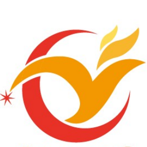 Dongguang ESK Electronic Co.,Ltd logo