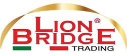 Lion Bridge Srl logo