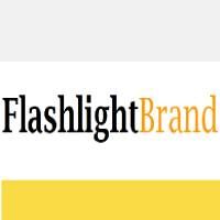 LED Flashlight Co., Ltd. logo
