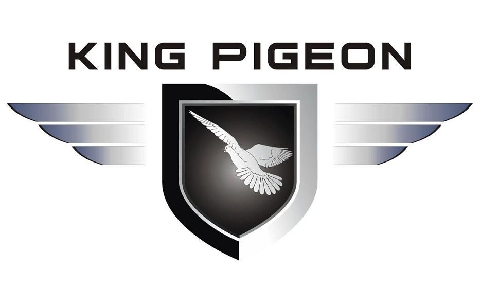 King Pigeon GSM 3G Telecare Co.,Ltd. logo