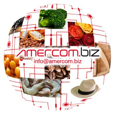 Amercom logo