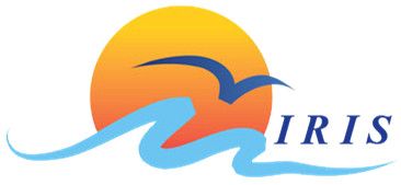 IRIS (HongKong)Technology Co.,LTD logo