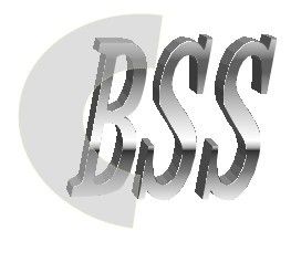 Bettison Security Sources Co.,Ltd logo