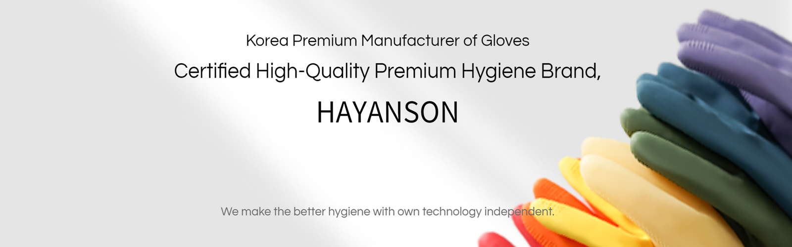 HAYANSON Co.,ltd Main Image
