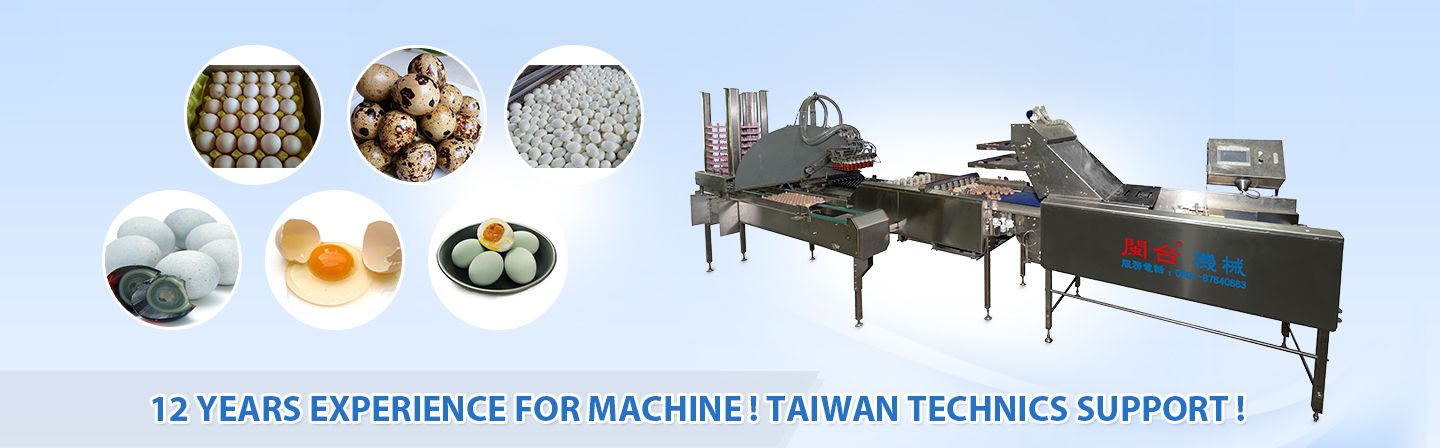 Fuzhou Min Tai Machinery CO.,LTD Main Image