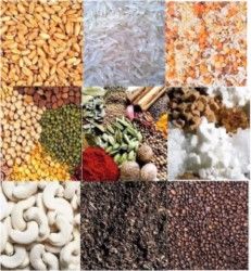 Indian Agro Products Main Image