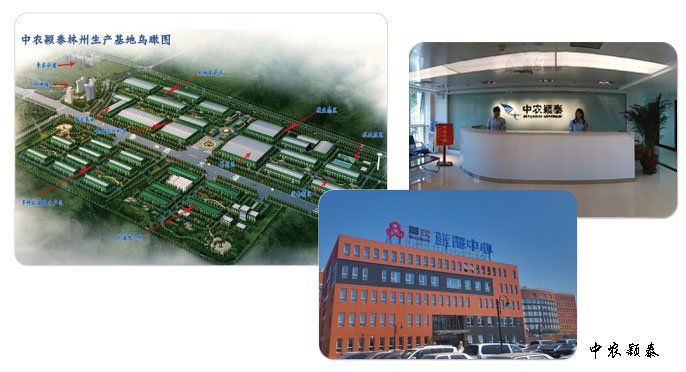 Lucky Yinthai Biotechnology Co. Ltd Main Image