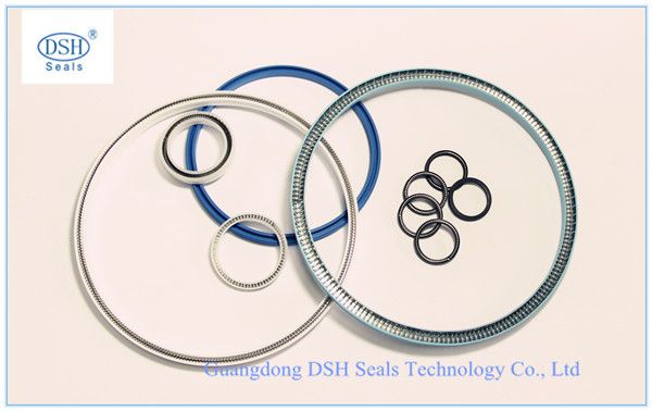 DSH Seals Technology Co., Ltd Main Image