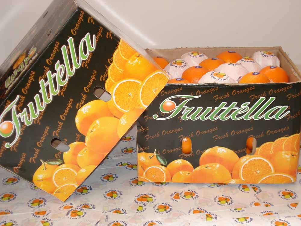 Fruttella Main Image