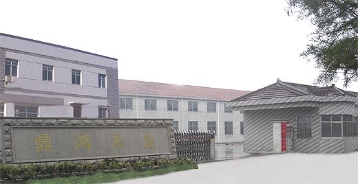 Changzhou Dehome Wood Co., Ltd Main Image